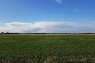 Casa vacanze in Danimarca