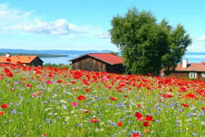 4 Sterne Ferienhaus in TÄLLBERG