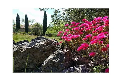 Casa Lavanda - Rocca Prataia