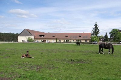 3 Gut Fürstenberg Residenza di vacanza...