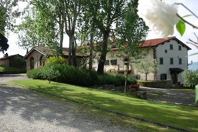 Wohnung in Poppi mit privater Terrasse