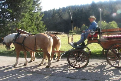 Ferienwohnung "Bärental" Ferienwohnung...
