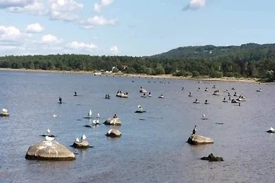8 Personen Ferienhaus in BÅSTAD-By Traum
