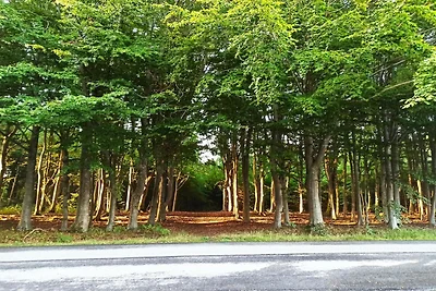 4 Sterne Ferienhaus in Brønderslev