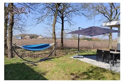 Ferienhaus in Haarle mit Barbecue