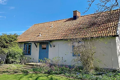 Ruhige Oase im Norden von oland-By Traum