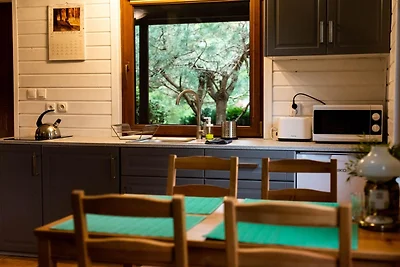 Ferienhaus mit Kamin und großer Terrasse
