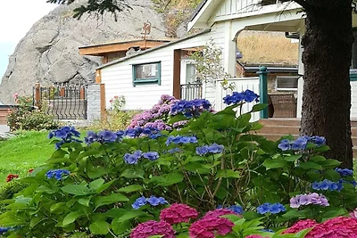 8 Personen Ferienhaus in skudeneshavn-By...