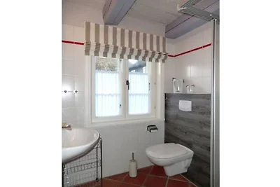 Ferienhaus in Borgsum mit Schwimmbecken