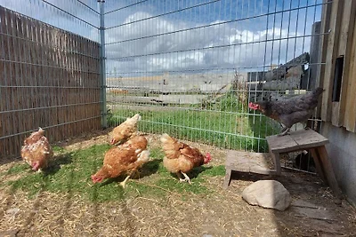 Uniek landschapszicht