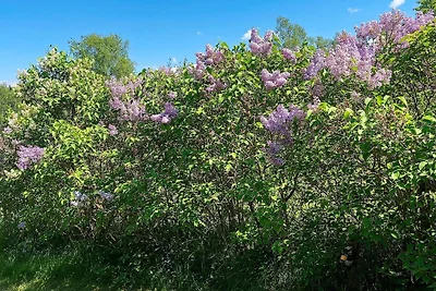 4 Personen Ferienhaus in Södertälje-By Traum
