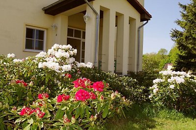 Gartenblick am Schloss Weisdin