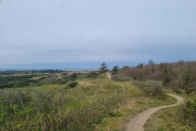 6 Personen Ferienhaus in Saltum-By Traum