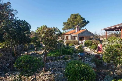 Holiday Home Stella
