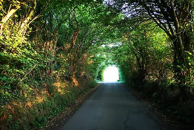 5 persoons vakantie huis in Hejls-By Traum