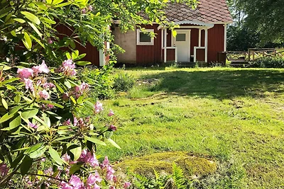 6 Personen Ferienhaus in Hallabro