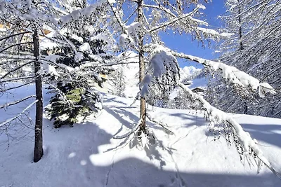 Charmantes Apartment. Chatelard · Direkter Zu...