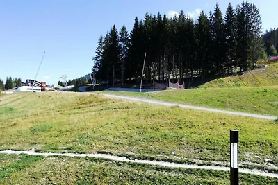 Wohnung in Villards nahe Skipisten