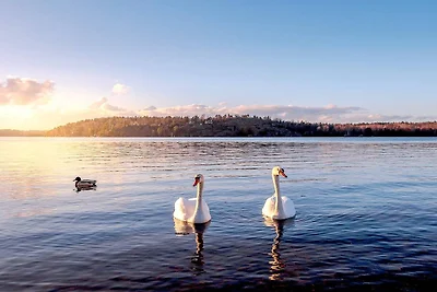 4 persoons vakantie huis in BROMMA-By Traum