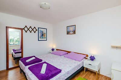 Apartments & Rooms Mihajica- Double or Twin R...