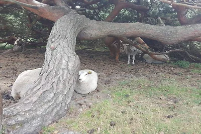 Luxurioses Strandrefugium -- By Traum...