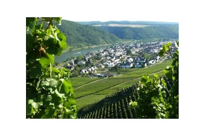 4 Sterne Ferienwohnungen  Weber