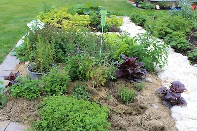 4 Personen Ferienhaus in LUR