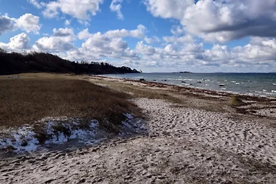 5 Personen Ferienhaus in Jægerspris-By Traum