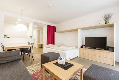 Appartement nabij skipiste