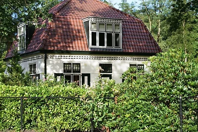 Casa con un giardino, circondato dalla...