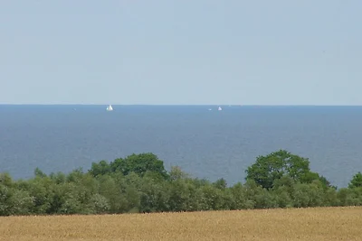Seehof "Backhus"