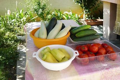 Appartamenti Ljilja, Privlaka