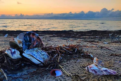 5 Personen Ferienhaus in Vinderup-By Traum