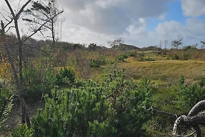 4 Sterne Ferienhaus in Harplinge