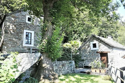 Casa vacanze a Cugnasco con piscina