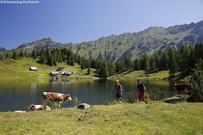 Lebendige Wohnung in der Nähe der Skipiste