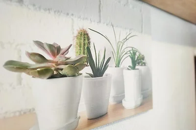 Appartement in Canet bij Playa Canina