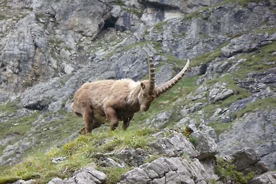 Kuća za odmor Dopust za oporavak Mittelberg