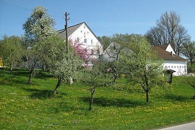 Schöne Wohnung in Rotthalmünster mit Garten