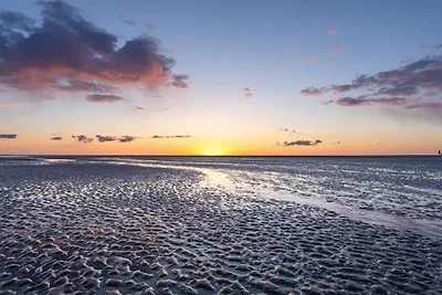 6 persone case ad Blåvand-By Traum