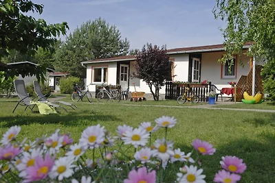 Seepark Heidenholz, Plau am See