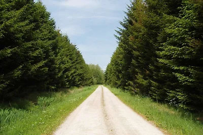 8 Personen Ferienhaus in Storvorde-By Traum