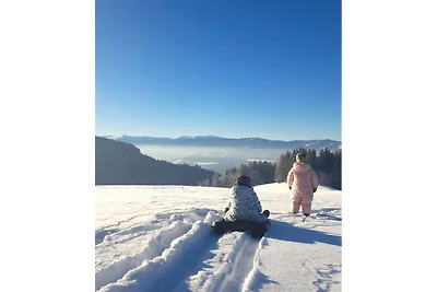 Ferienhaus mit 1 Schlafzimmer