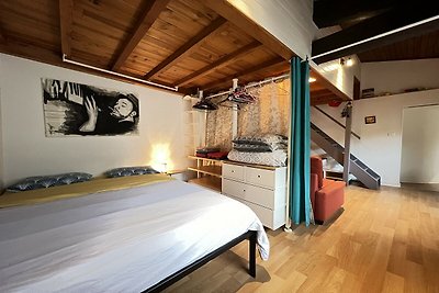 Ein-Zimmer-Wohnung in Toulouse