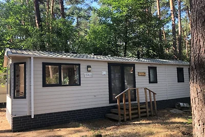 Chalet di lusso nel Kempen di Anversa