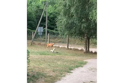 Uitzicht op het meer - Varchentin