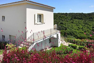 Wohnung in Golfo Aranci mit Terrasse