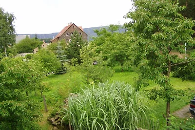 Schrammsteinblick