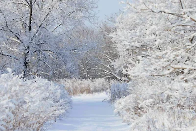 4 Zimmer für 6 Personen