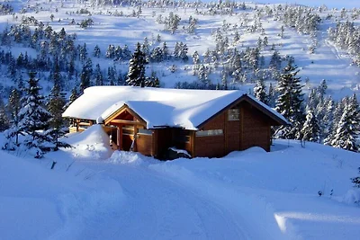 Naturhytte mit Gästehaus